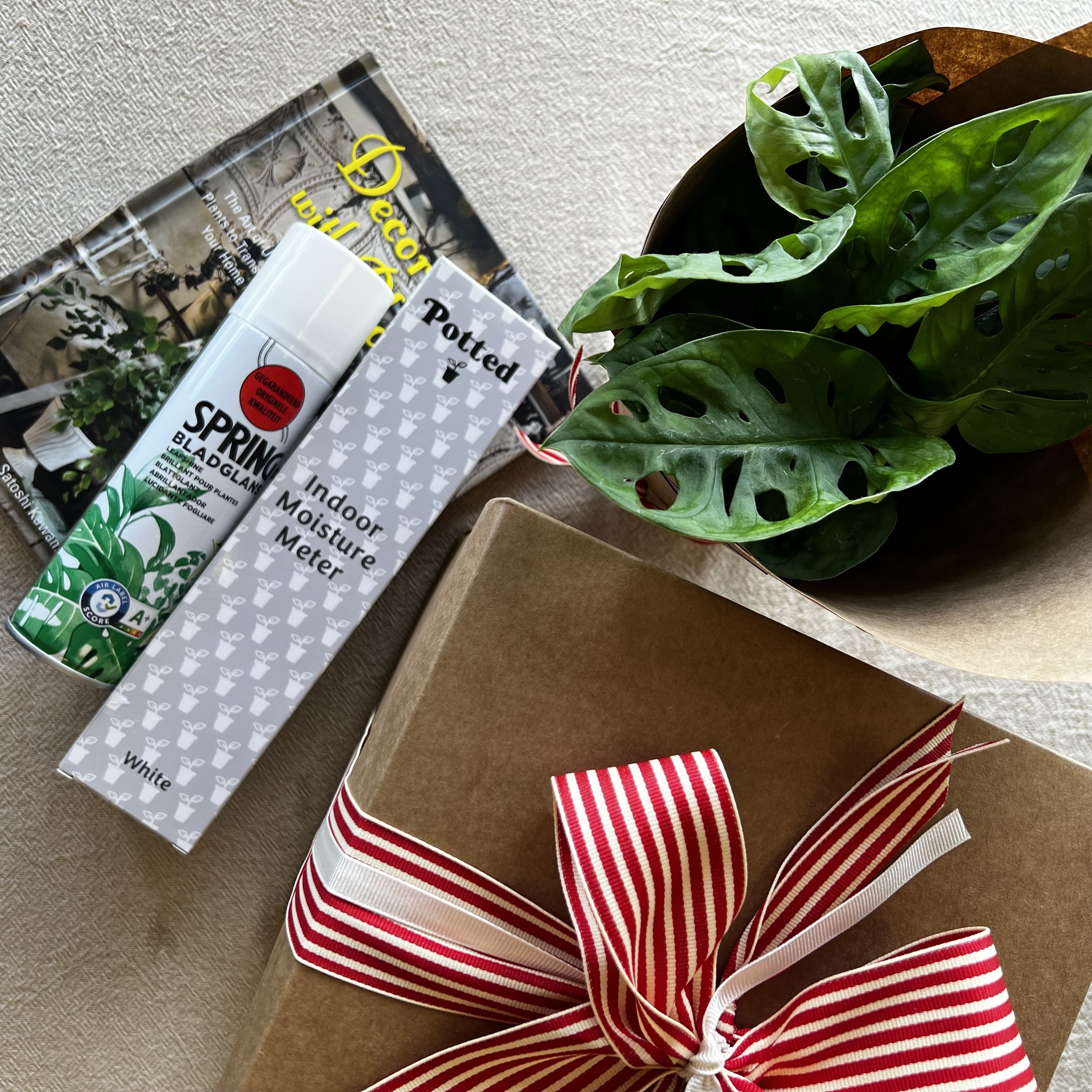 Plant Lovers Gift Box