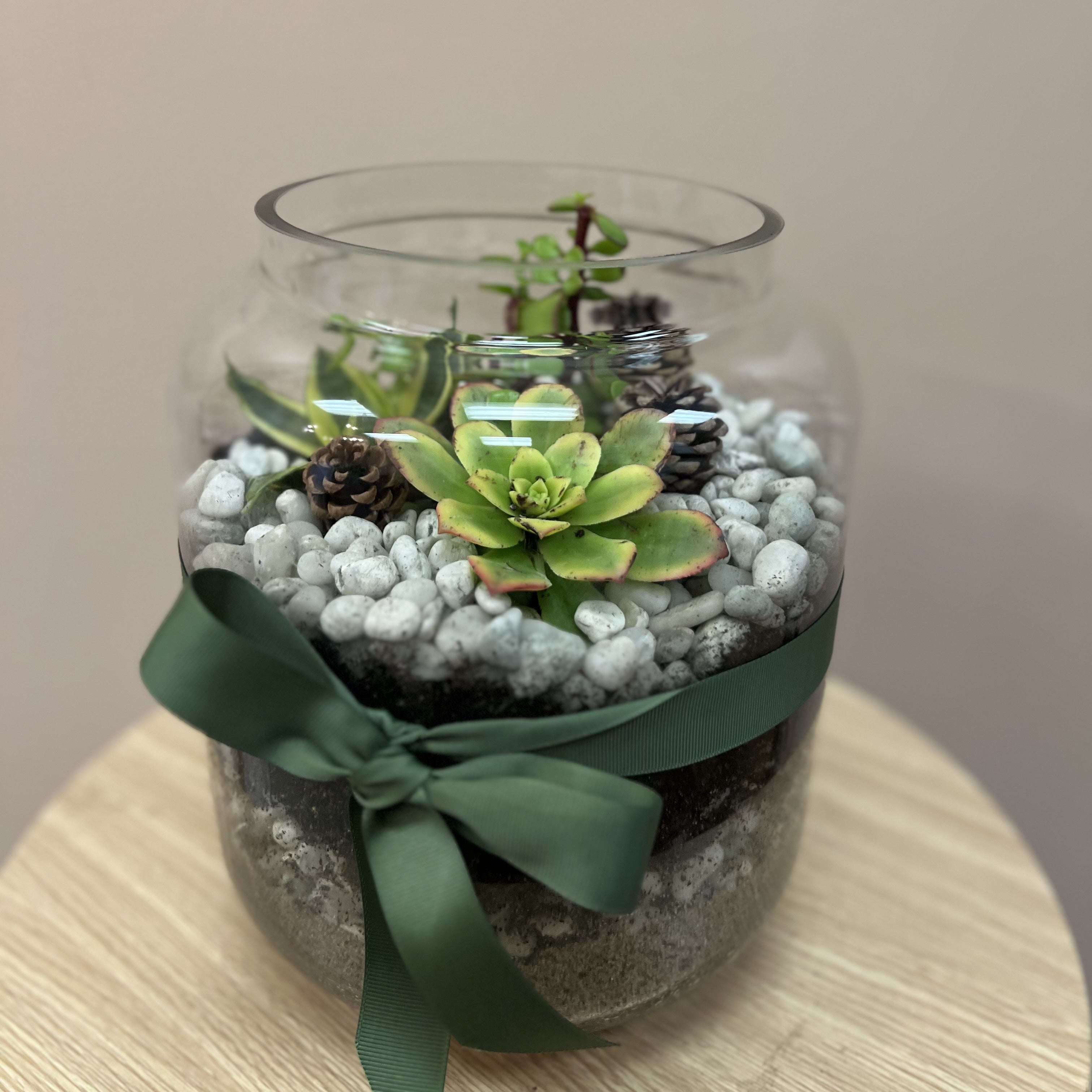 Terrarium