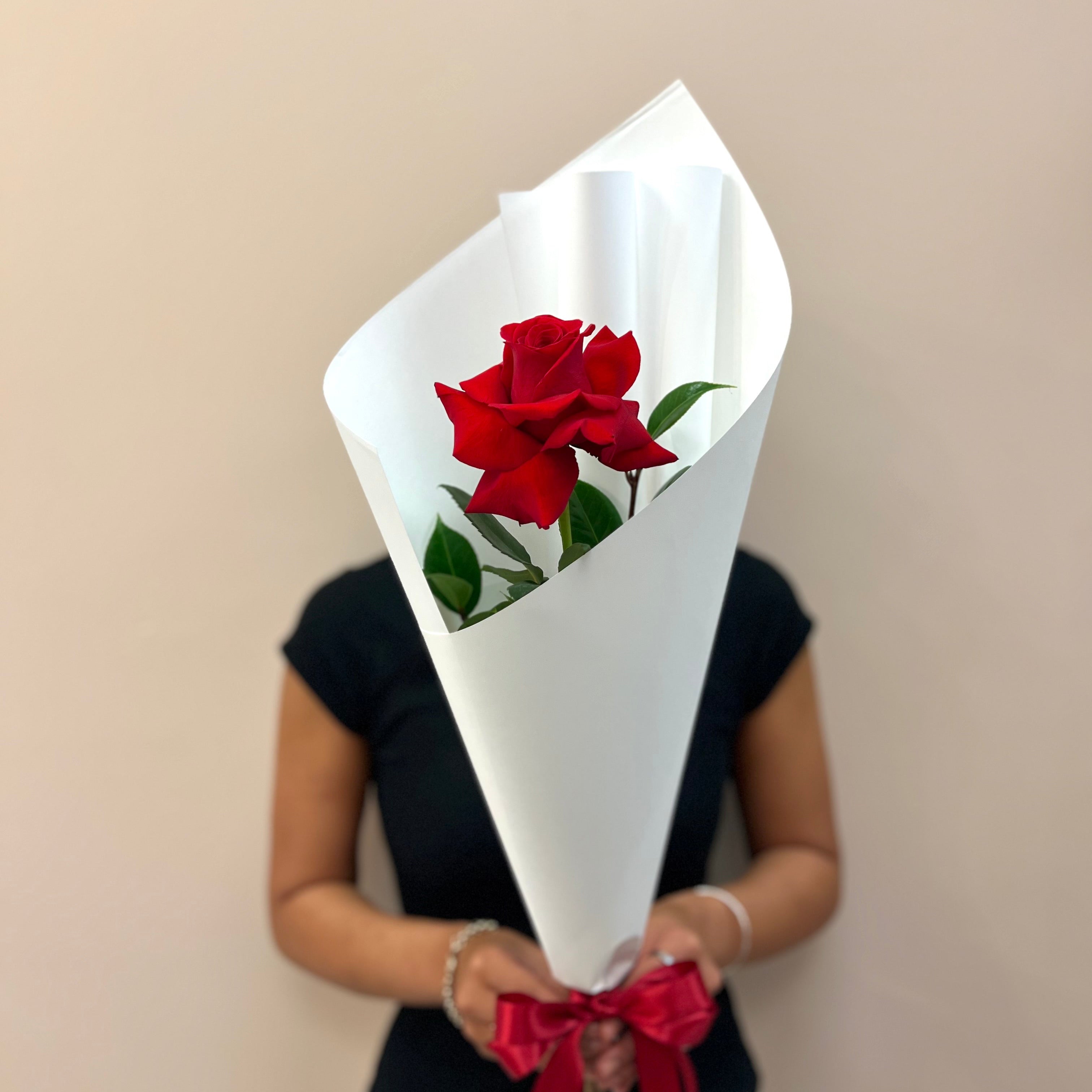 Single Premium Colombian Rose