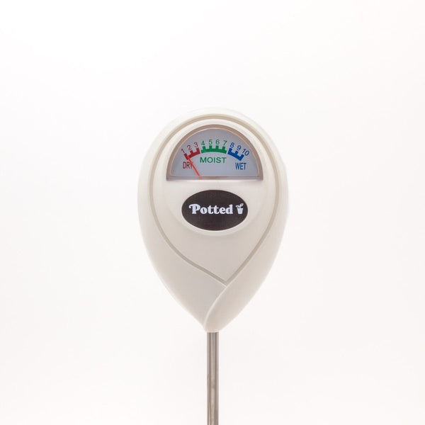 Indoor Plant Moisture Meter White