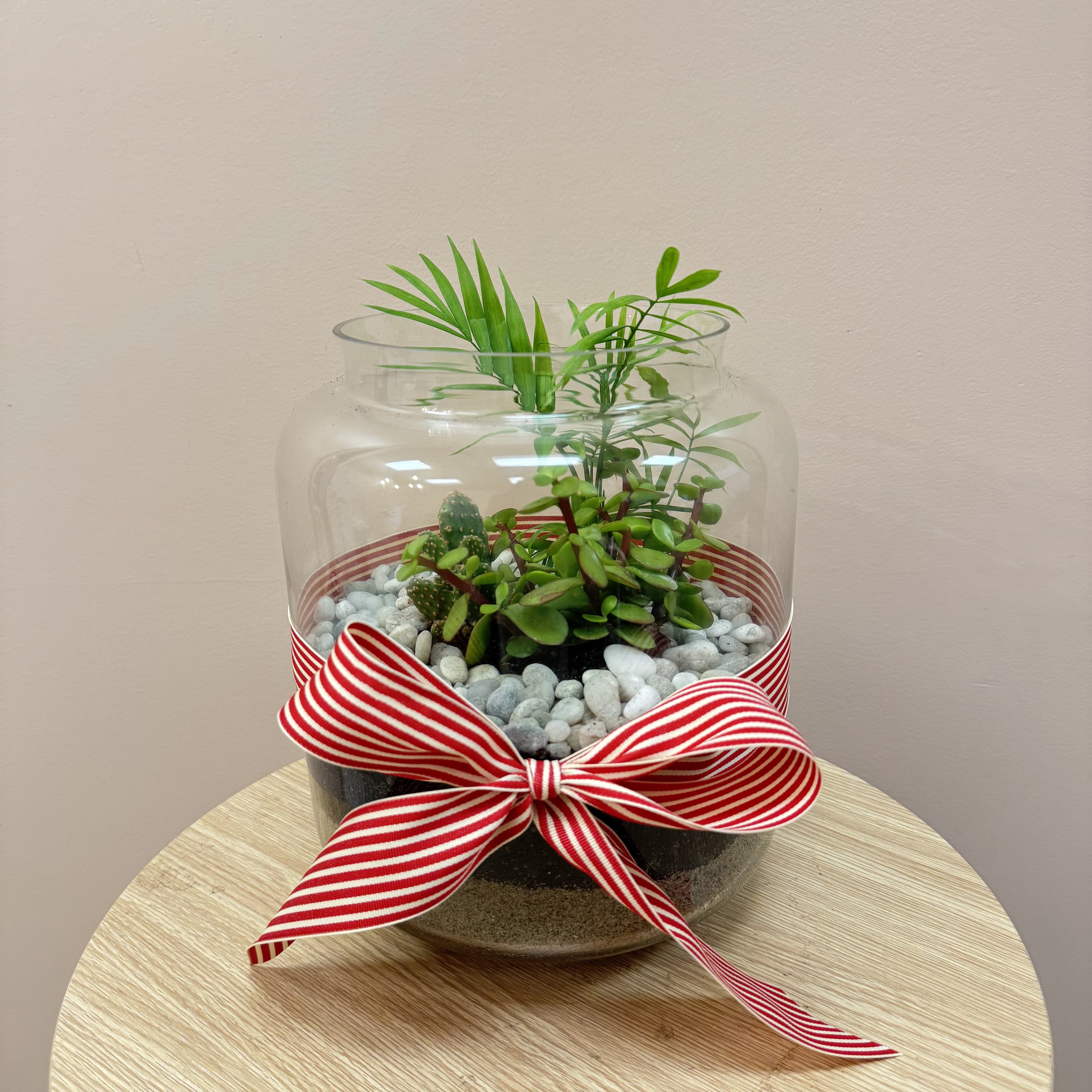 Plant Terrarium