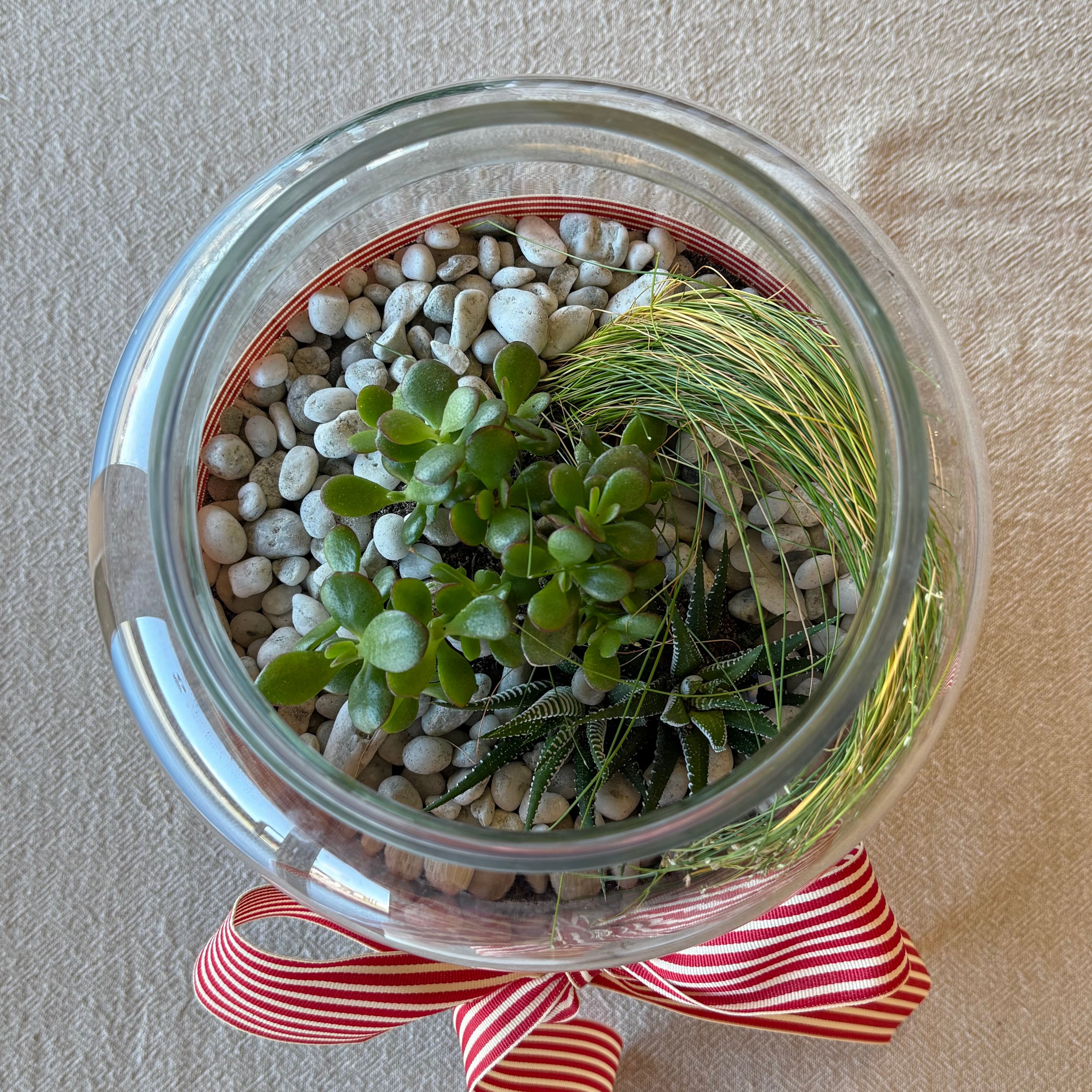 Festive Terrarium