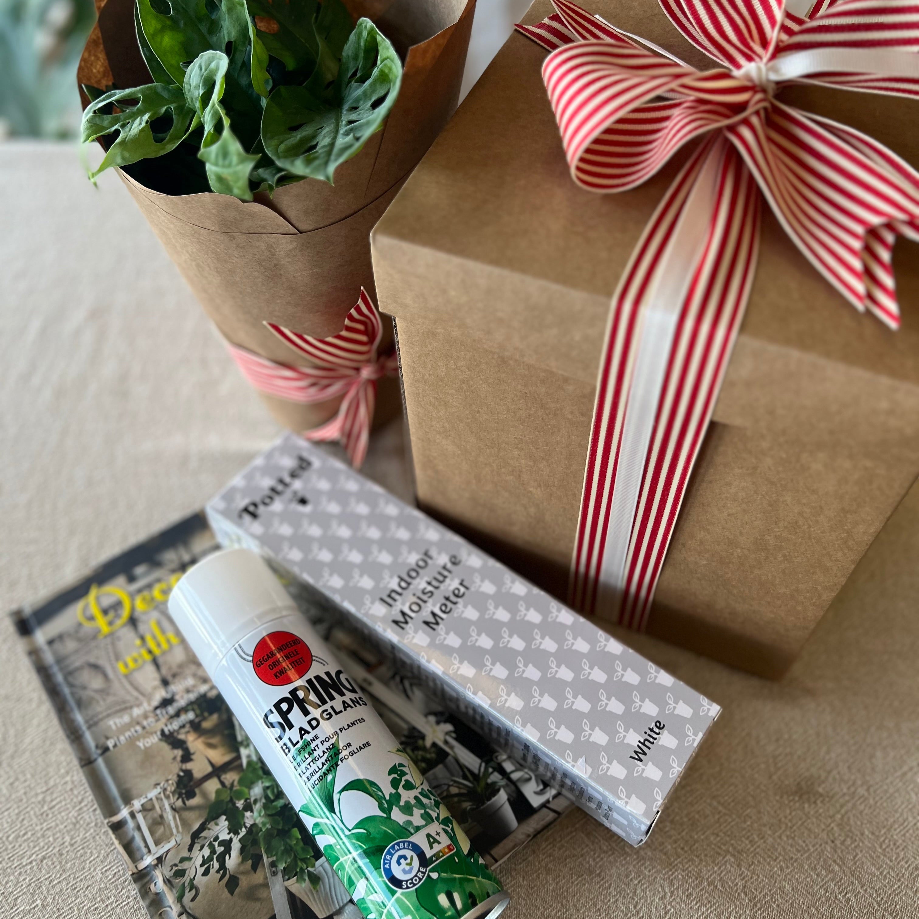 Plant Lovers Gift Box