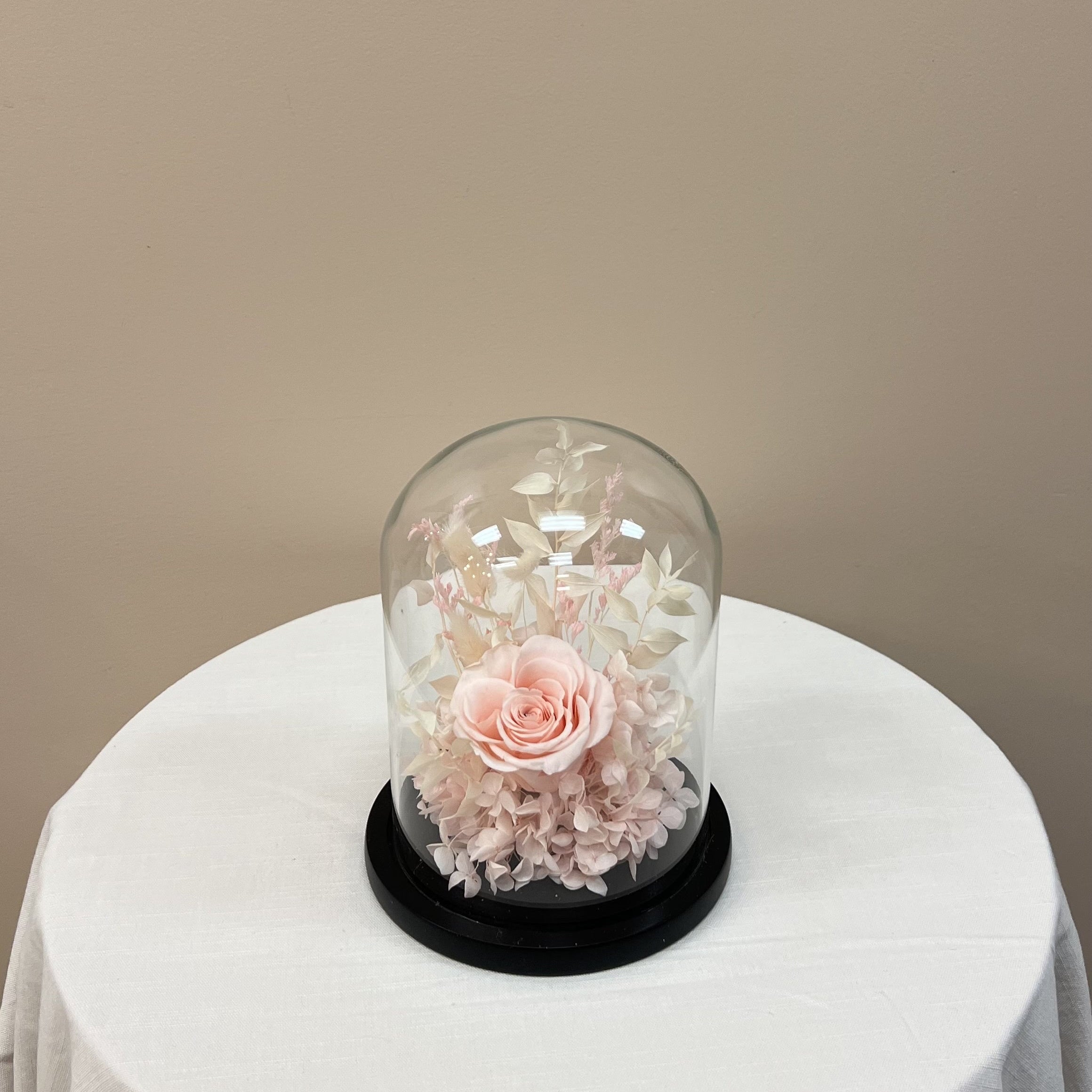 Blush Dome