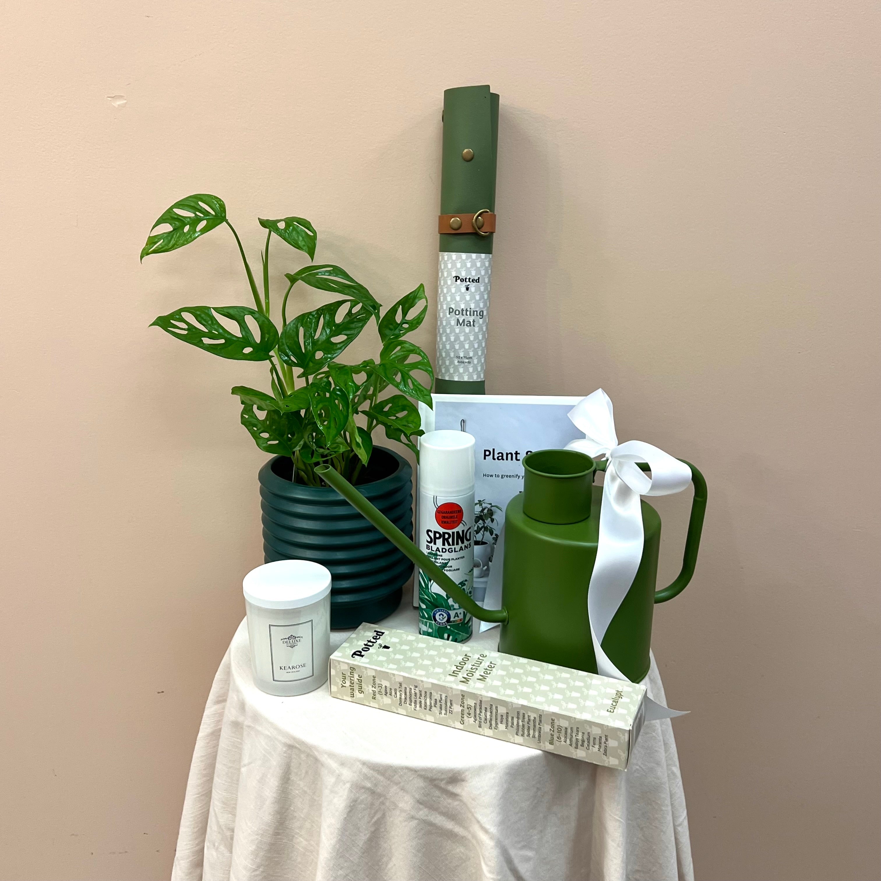 Leaf & Nest Gift Pack