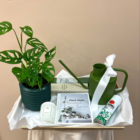 Leaf & Nest Gift Pack