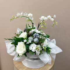 PRE-ORDER Classic Christmas White Trio