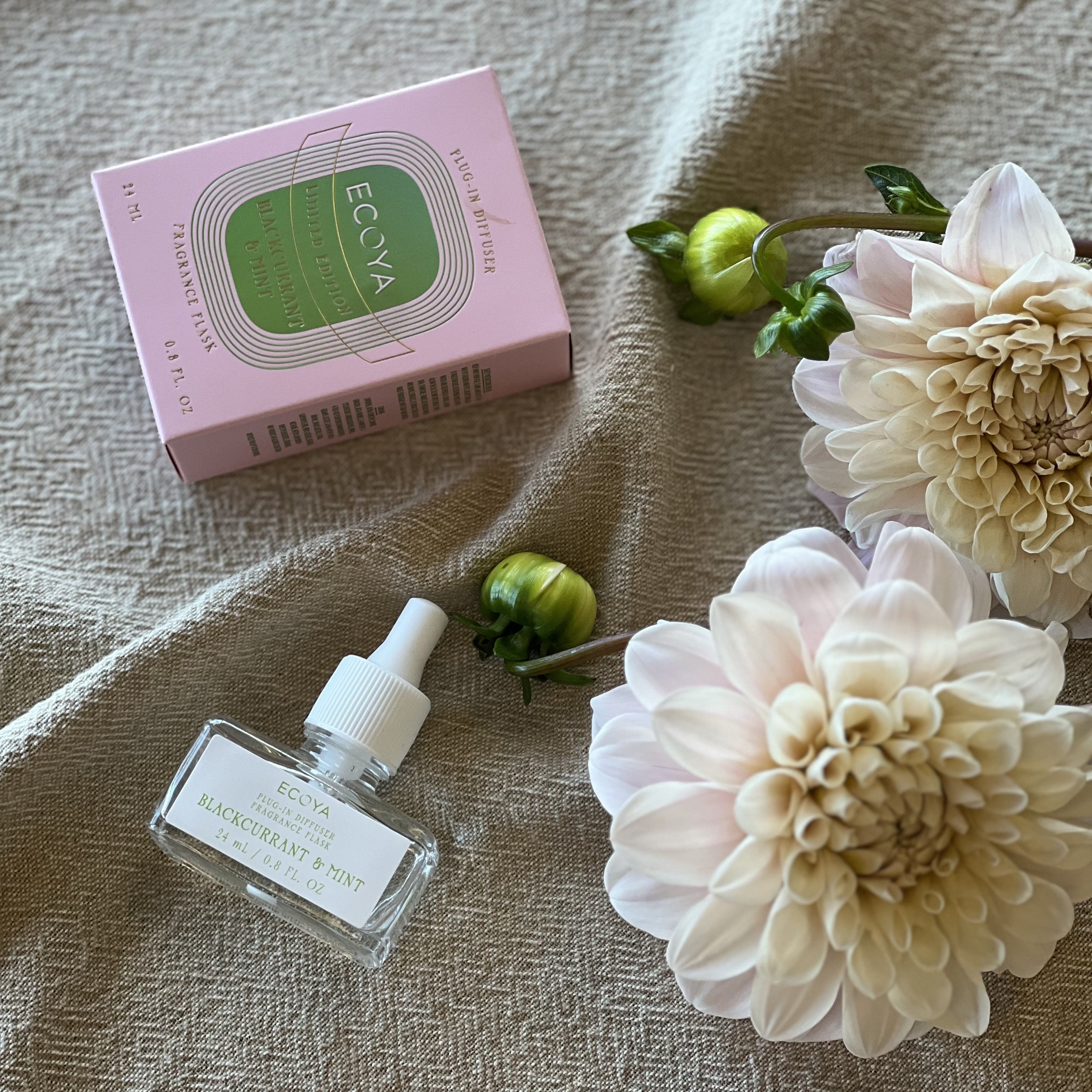 Ecoya Blackcurrant & Mint Plug in Diffuser Fragrance Flask