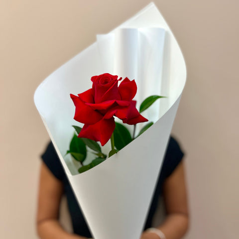 Single Premium Colombian Rose