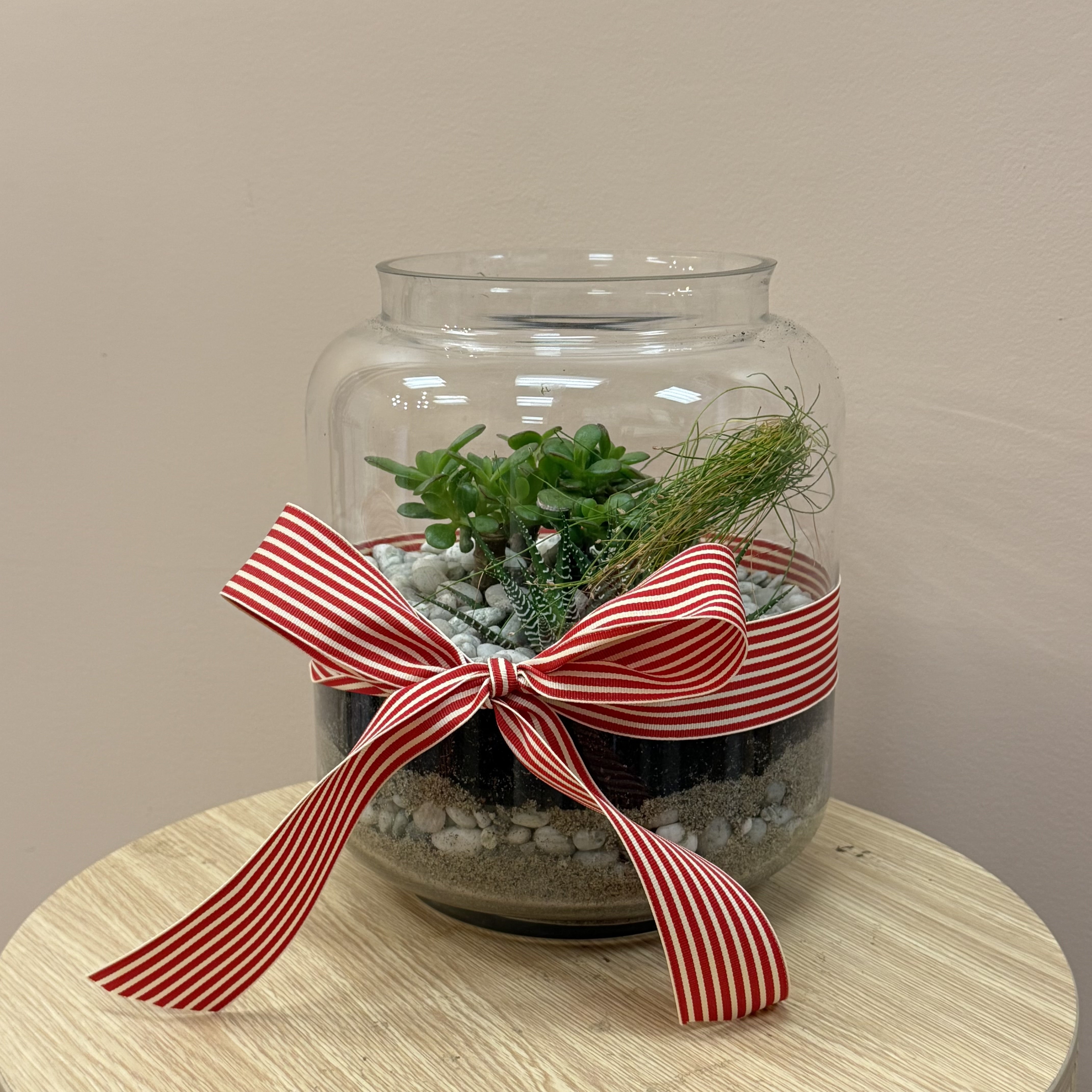 Festive Terrarium