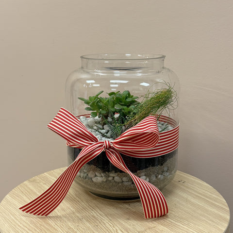 Festive Terrarium