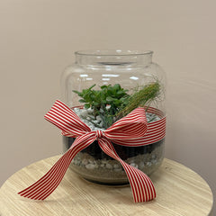 Festive Terrarium