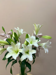 Christmas Lilly’s in Vase