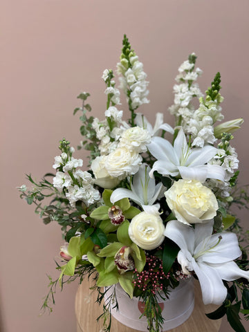 Neutral Hatbox - Decadent