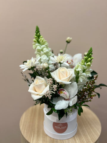 Neutral Hatbox - Cute