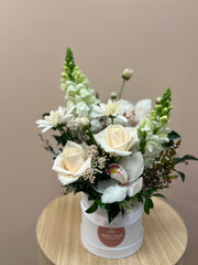 Neutral Hatbox - Cute