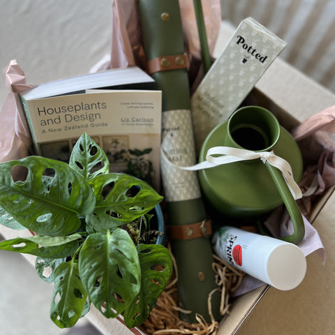 Green Gift Box